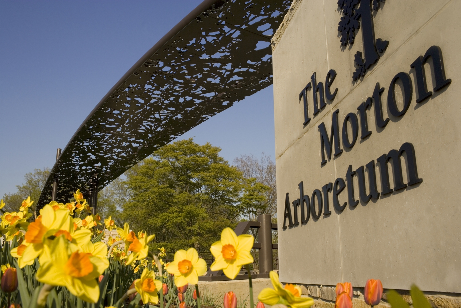 The Morton Arboretum